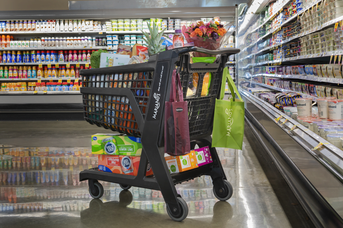 Bemis Manufacturing shopping carts